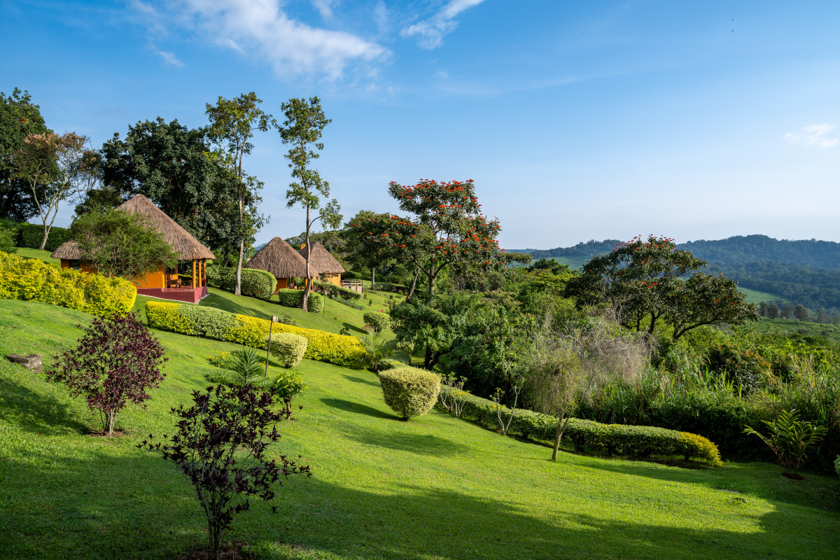 Landscape at Chimpanzee Forest Lodge